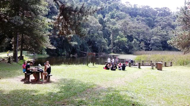 áreas para piquenique no Parque Estadual da Cantareira