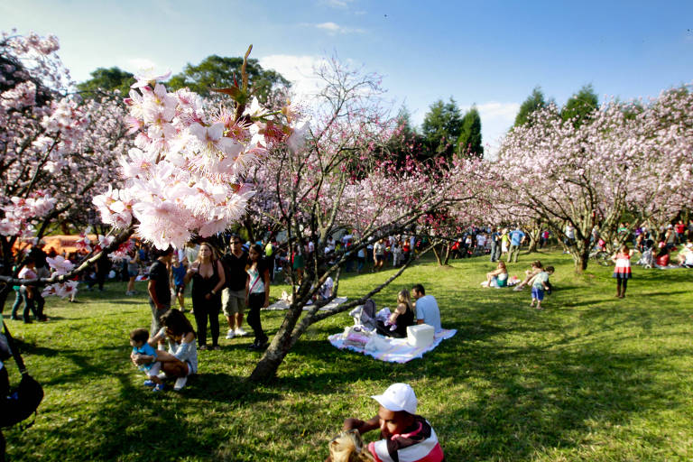 Parque do Carmo